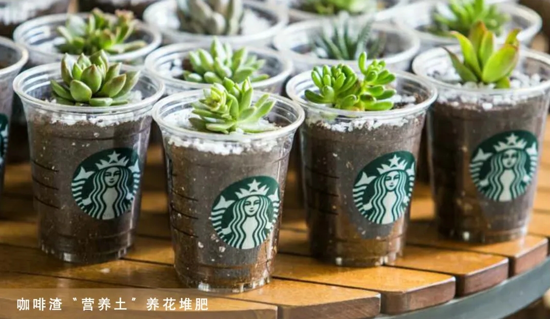 微信截圖_20241023180851.png