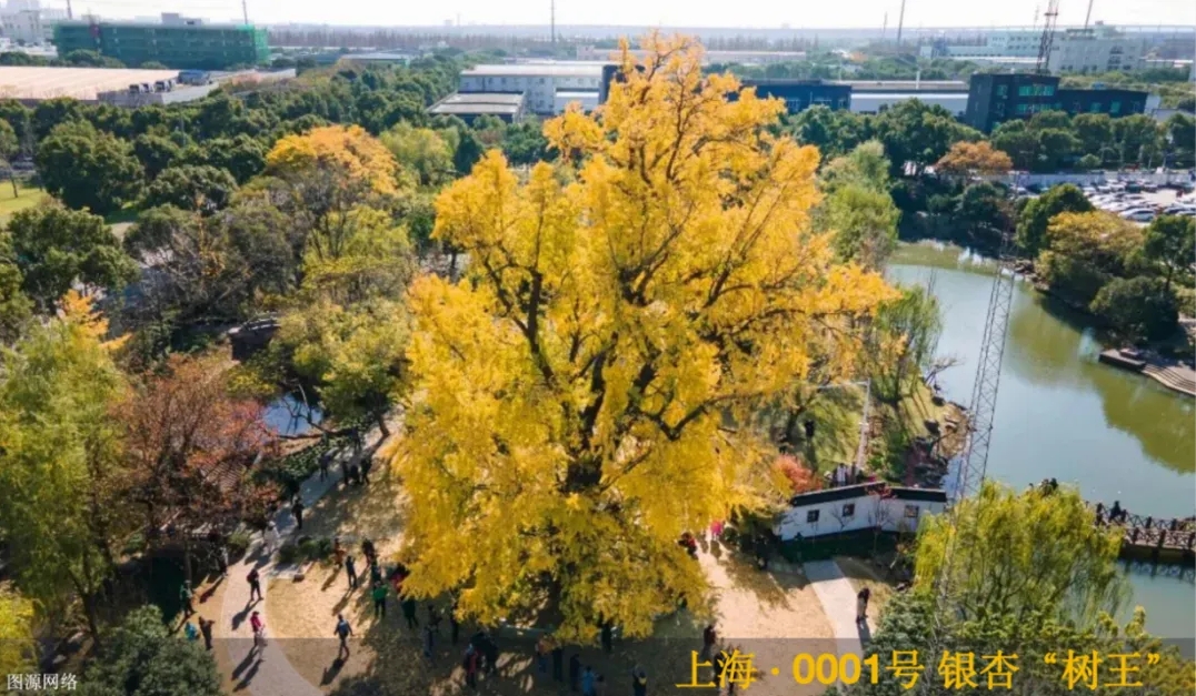 微信截圖_20241203085318.png