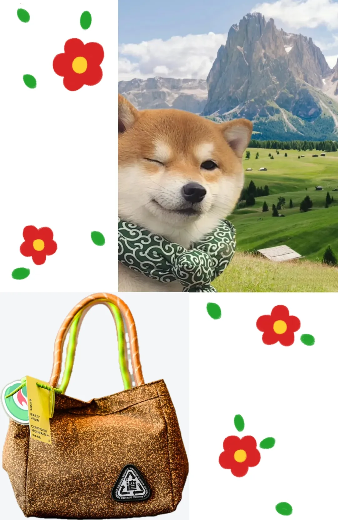 5.png